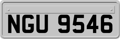NGU9546