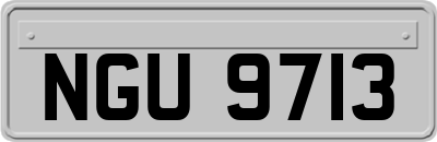 NGU9713