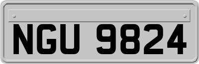 NGU9824