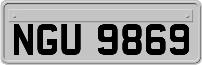 NGU9869