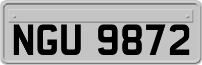 NGU9872