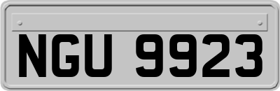NGU9923
