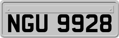 NGU9928