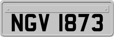 NGV1873