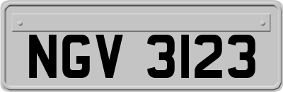 NGV3123
