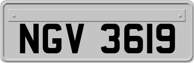 NGV3619