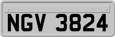 NGV3824