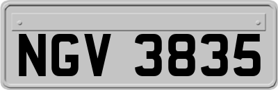 NGV3835