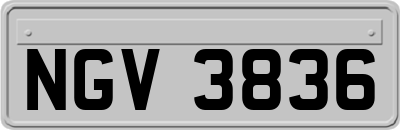 NGV3836