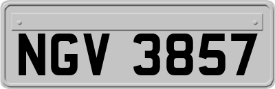 NGV3857