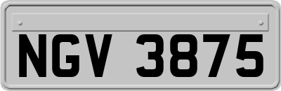 NGV3875