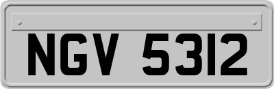 NGV5312