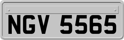 NGV5565