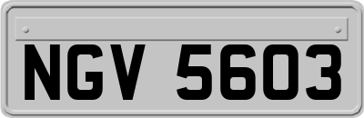 NGV5603