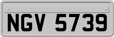 NGV5739