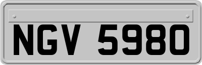 NGV5980