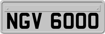 NGV6000