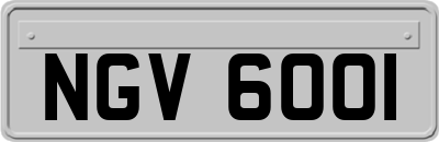 NGV6001