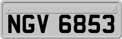 NGV6853