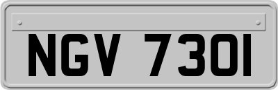 NGV7301