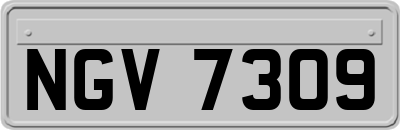 NGV7309