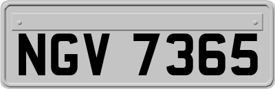 NGV7365