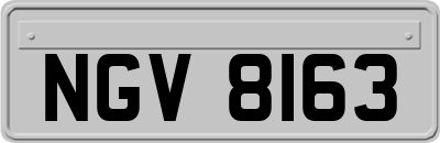 NGV8163