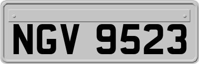 NGV9523