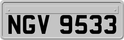 NGV9533