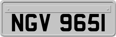NGV9651