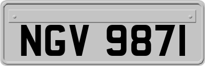 NGV9871
