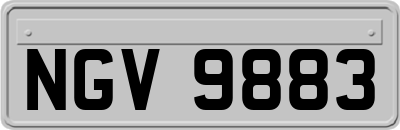 NGV9883
