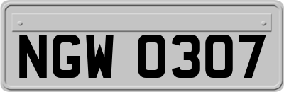 NGW0307