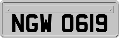 NGW0619