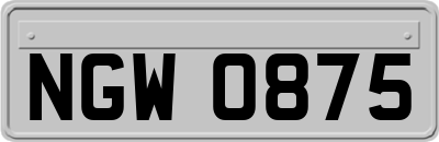 NGW0875