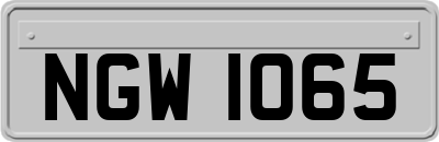NGW1065
