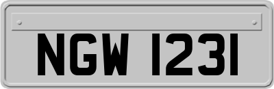 NGW1231