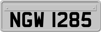 NGW1285