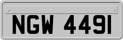 NGW4491