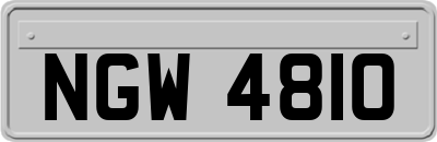 NGW4810