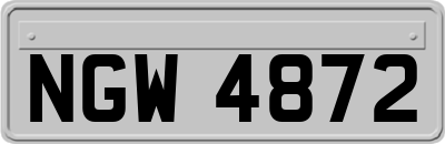 NGW4872