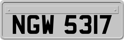 NGW5317