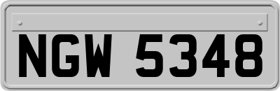 NGW5348