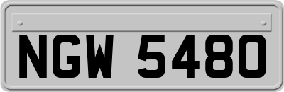 NGW5480