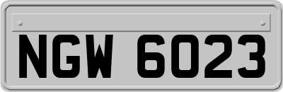 NGW6023