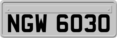 NGW6030