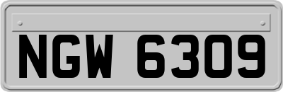 NGW6309