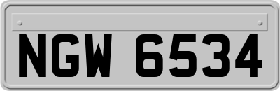 NGW6534