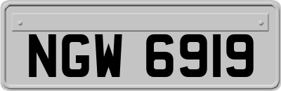 NGW6919