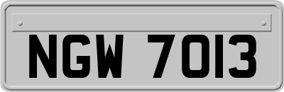NGW7013